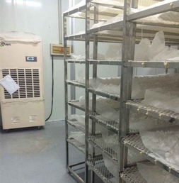 高濕物料烘干機,高濕物料烘干除濕一體機