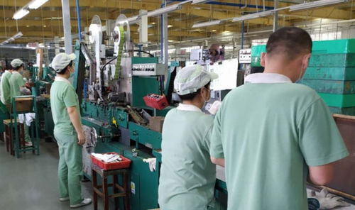 廣州輕工集團 以創新驅動高質量發展，譜寫輕工業新篇章